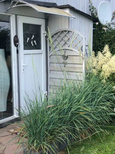Mitglied im Bundesverband für Fußpflege & Kosmetik